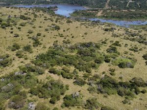 86.8 ha Farm in Cintsa