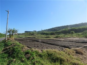1746 m² Land available in Desainagar