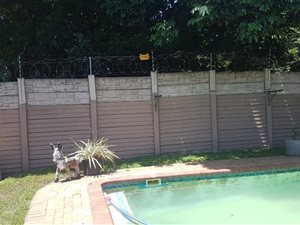 1 Bed Townhouse in Arboretum
