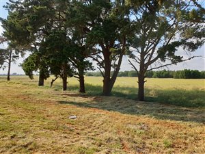 99 ha Land available in Elandsvlei