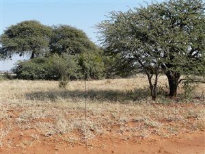 638 ha Farm in Schweizer Reyneke