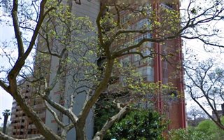 1 Bedroom Apartment in Sunnyside