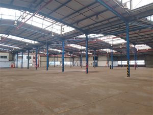 14624 m² Industrial space in Alrode
