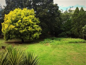 650 m² Land available in Heilige Akker