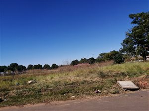 1009 m² Land available in Amajuba Park