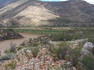333 ha Farm in Ladismith