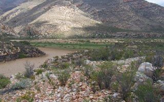 333 ha Farm in Ladismith