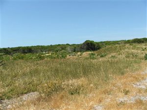 700 m² Land available in Gansbaai and surrounds