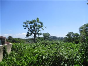 2571 m² Land available in Southbroom