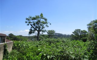 2571 m² Land available in Southbroom