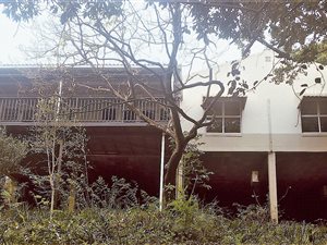 3 Bed Simplex in Westville