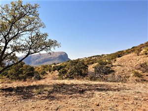 42 ha Farm in Hartbeesfontein