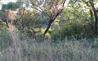 2.2 ha Land available in Klipplaatdrif