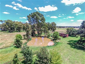 2 ha Farm in Benoni AH