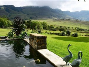 5860 ha Farm in Ladysmith