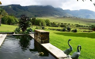 5860 ha Farm in Ladysmith