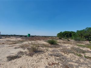 52 ha Farm in Hopefield