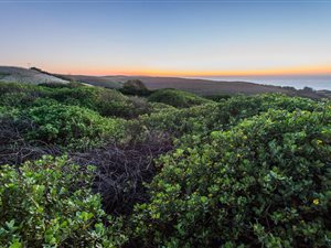 1041 m² Land available in Sheffield Beach