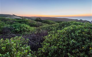 1041 m² Land available in Sheffield Beach