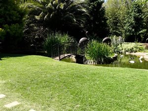3 Bed House in Modderbee