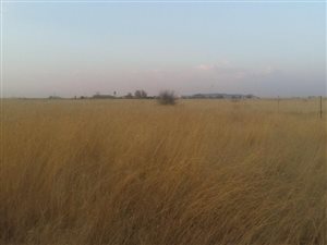 256 ha Farm in Bloemfontein Rural