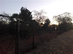 85 ha Farm in Mokopane
