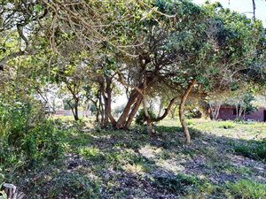 1246 m² Land available in Groot Brakrivier