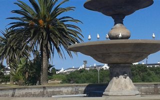 449 m² Land available in Shelley Point