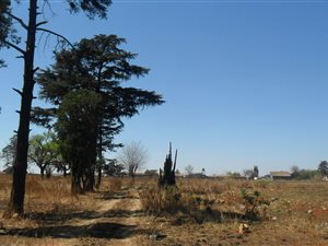 28744 ha Farm in Vosloorus