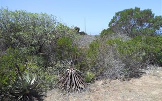 592 m² Land available in Boggomsbaai
