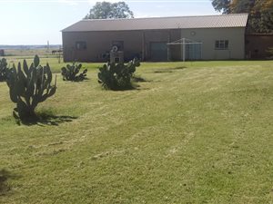 33 ha Farm in Klerksdorp