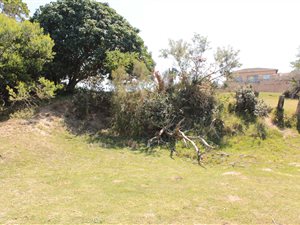 845 m² Land available in Cintsa