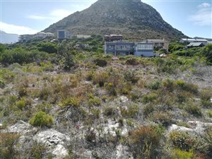 1360 m² Land available in Pringle Bay