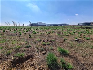 3278 m² Land available in Linbro Park