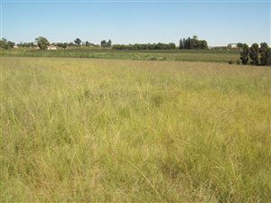 22 ha Farm in Elandsvlei