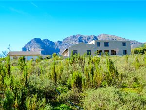 133 ha Farm in Northern Paarl