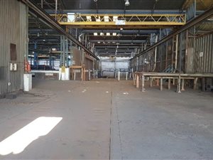 18000 m² Industrial space in Elandsfontein AH