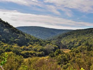 146 ha Farm in Plettenberg Bay Rural