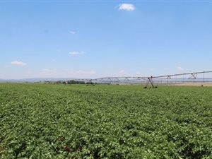 408 ha Farm in Alma