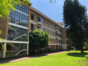 3 Bedroom Apartment in Riviera