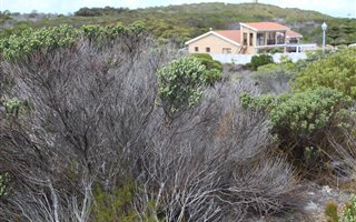 1071 m² Land available in Struisbaai