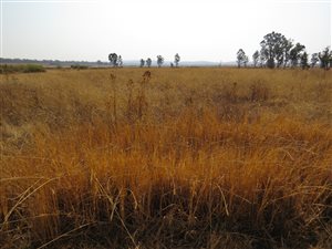 3.2 ha Farm in Walkers Fruit Farms