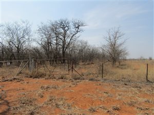 21.4 ha Land available in Phalaborwa