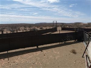 4529 ha Farm in Williston