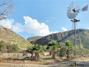 17 ha Farm in Prince Albert