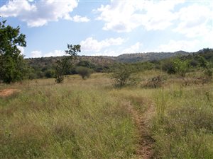 8.6 ha Farm in Waterkloof