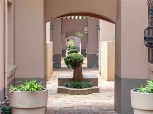 3 Bed Apartment in Riviera