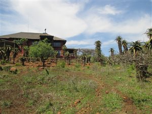 138 ha Farm in Ashburton