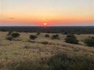 Game Farm in Swartwater and surrounds