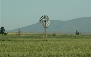 2308 ha Farm in Darling